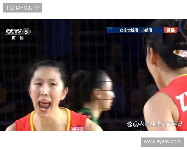 全国锦标赛特别报道：上海排球队如何逆袭夺冠的精彩历程与背后故事